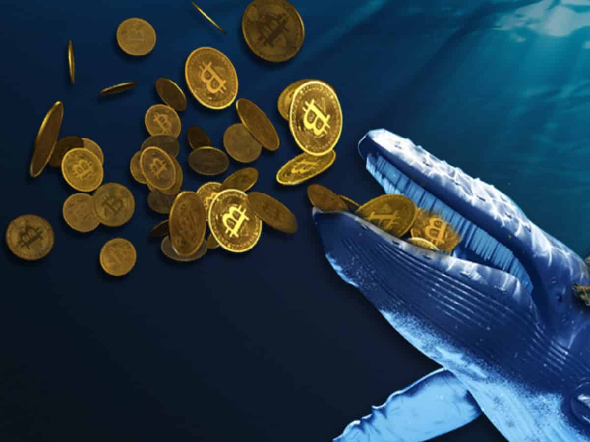 bitcoin fountain