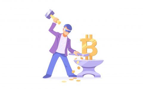maximalista bitcoin