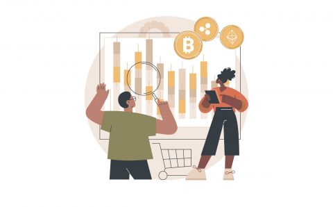 tipos de portfolio crypto