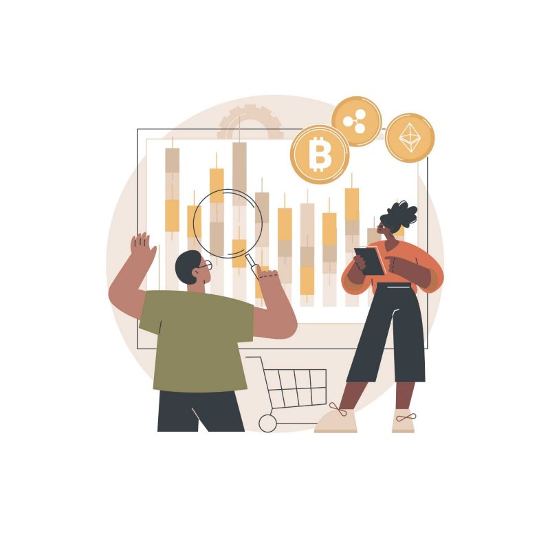 tipos de portfolio crypto