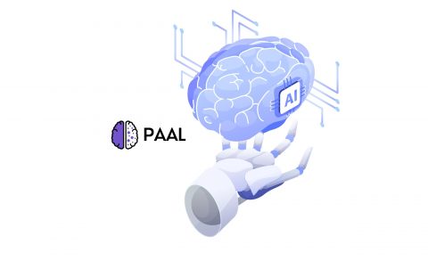 Paal AI(1)