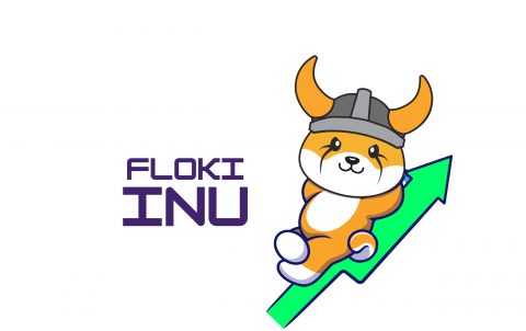 floki inu