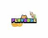 PlayDoge
