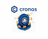 crypto4dummy_cronos_blockchain
